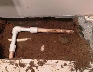 平顶山卫东测漏水哪家好