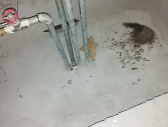 平顶山卫东卫生间测漏水价格明细