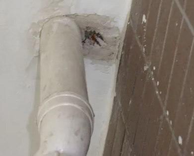 平顶山卫东漏水检测哪家好